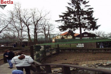 Siatki Trzebinia - Siatka na woliery z polipropylenu PP, hodowla ptactwa dla terenów Trzebini